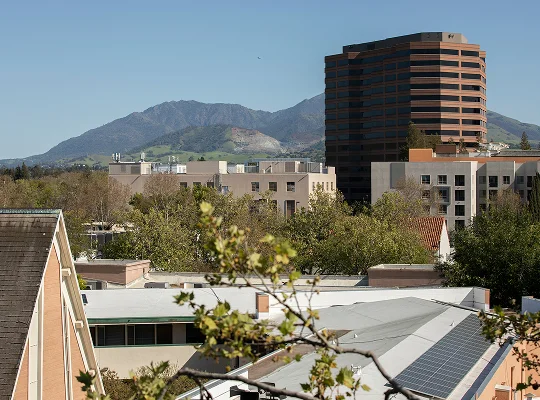 a city with trees and mountains in the background