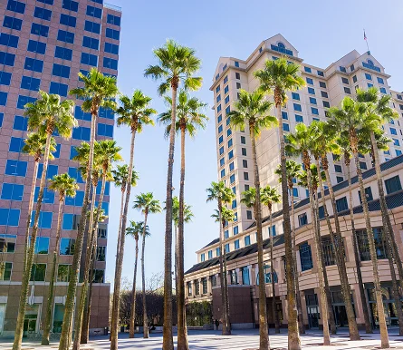 a group of palm trees in front of a building
